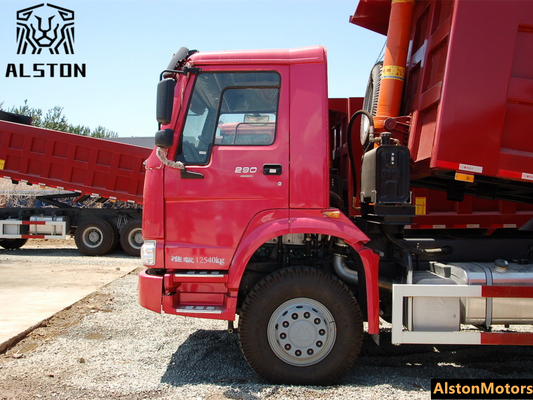 Howo 6x4 Dump Truck 290HP with 4.8m Bucket (No Sleeper Cab) for Sale in Tanzania